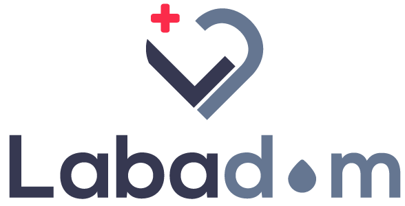 LABADOM - Prise de sang à domicile dans le 94 (Val-de-Marne)et autres prélèvements biologiques LABADOM - Prise de sang à domicile dans le 94 (Val-de-Marne)et autres prélèvements biologiques